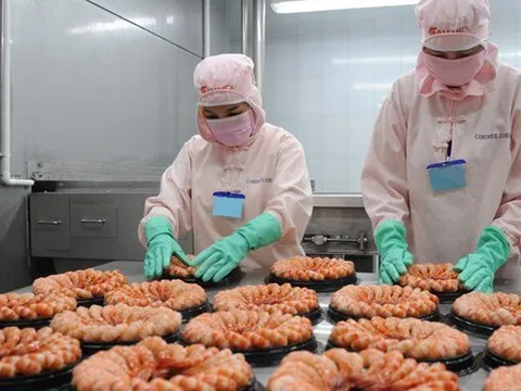 Đơn hàng tăng trở lại, xuất khẩu tôm có thể đạt trên 3 tỷ USD