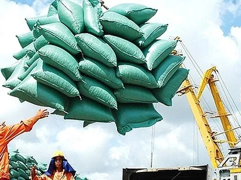 Giá gạo xuất khẩu tăng vọt đẩy giá lúa trong nước 'nóng sốt' từng ngày