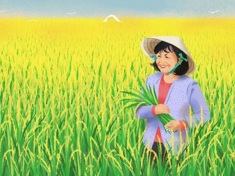 Cả thập kỷ buôn gạo thua lỗ ròng rã, vừa có chút lãi trở lại, cổ phiếu Vinafood 2 đã tăng “bốc đầu” 300% chỉ trong 2 tuần