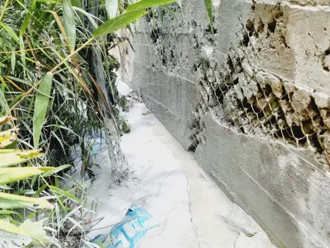 Kết quả kiểm tra việc xả thải từ mỏ của "đại gia vàng" Ngô Văn Quang