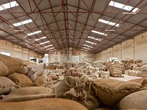 Nga chi gần 140 triệu USD nhập khẩu một loại hạt của Việt Nam trong nửa đầu năm, là mặt hàng Việt Nam có sản lượng đứng thứ 2 thế giới