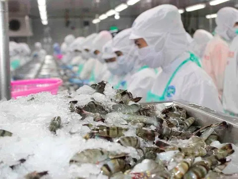 6 tháng đầu năm, một mặt hàng xuất khẩu chủ lực chỉ thu về 1,5 tỷ USD