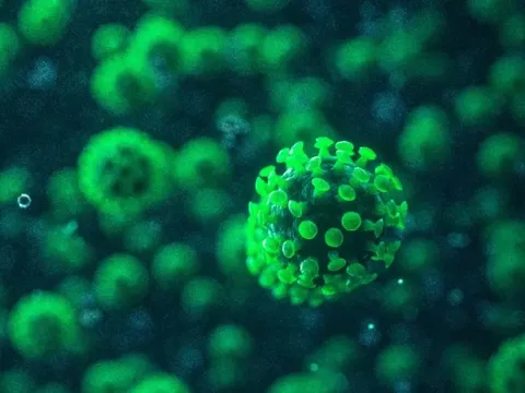 CDC Mỹ: Biến chủng COVID-19 mới EG.5 dần chiếm lĩnh