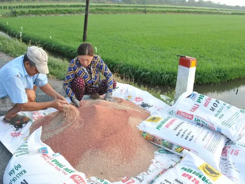 Sau 2 quý lỗ nặng, giảm 70-99% lợi nhuận..., triển vọng nửa cuối năm 2023 của DN phân đạm sẽ ra sao?