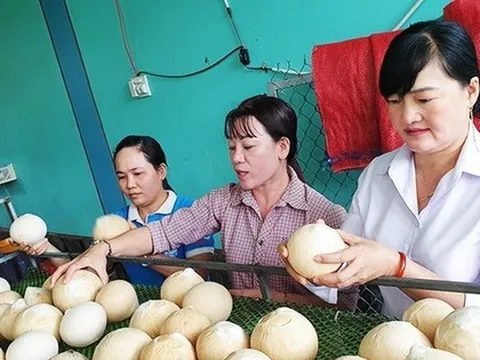 Mỹ chính thức nhập khẩu dừa Việt Nam