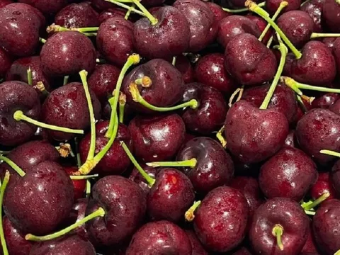 Cherry Mỹ về Việt Nam giá rẻ bất ngờ