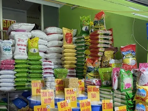 Kinh doanh 18 năm mới thấy giá gạo tăng từng ngày như bây giờ