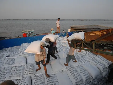 Bộ trưởng Lê Minh Hoan: Xuất khẩu 7-8 triệu tấn gạo trong năm 2023