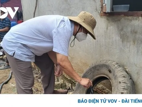 Hà Nội ghi nhận gần 500 trường hợp mắc sốt xuất huyết trong một tuần