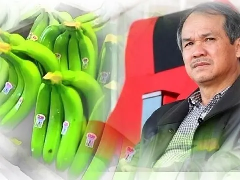 Hoàng Anh Gia Lai: Cầm cố 30 triệu cổ phiếu của công ty con cho khoản vay 500 tỷ tại Sacombank, nêu kế hoạch khắc phục chứng khoán bị cảnh báo