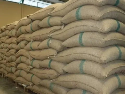 Vượt qua Indonesia, một quốc gia châu Âu tăng nhập khẩu 'hạt vàng hạt bạc' của Việt Nam hơn 7.000% trong 7 tháng đầu năm