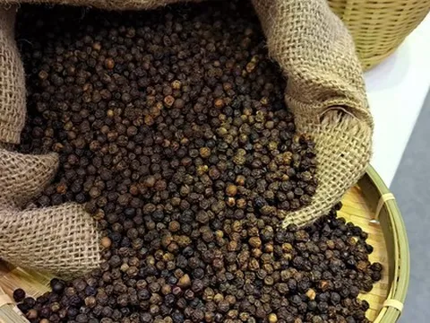 Cảnh báo nóng liên quan lừa đảo khi xuất khẩu