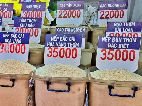 Tp.HCM: Giữ ổn định giá gạo trước biến động của thị trường