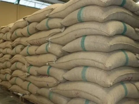 Vượt qua Indonesia, một quốc gia châu Âu tăng nhập khẩu “hạt ngọc trời” của Việt Nam hơn 7.000% trong 7 tháng đầu năm