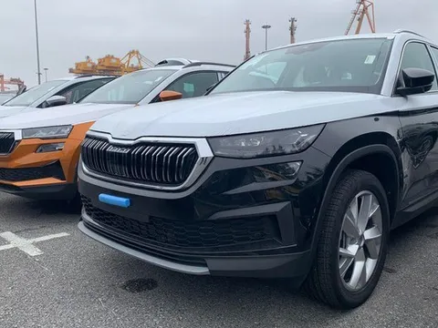 Đoán giá bộ đôi Skoda sắp ra mắt Việt Nam: Lỡ cỡ hay phổ thông để chiếm thị phần của xe Hàn, Nhật?