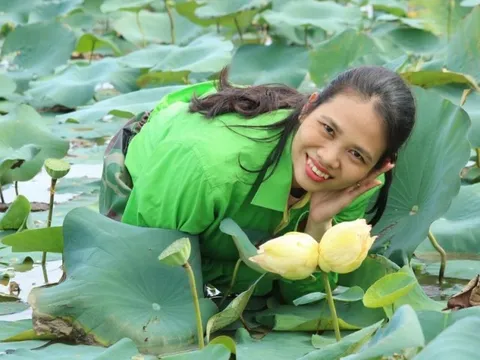 Cận cảnh cặp sen Tịnh đế Bỉ Ngạn Vàng hiếm có ở xứ Nghệ