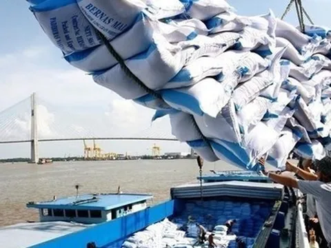 Cơ hội xuất khẩu gạo không thể bỏ lỡ