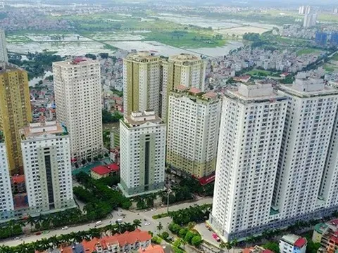 Doanh nghiệp của ‘đại gia điếu cày’ Lê Thanh Thản được gỡ bỏ vi phạm