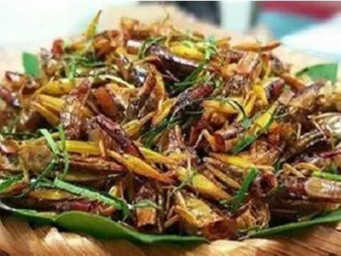Một người phụ nữ tử vong sau khi ăn con châu chấu