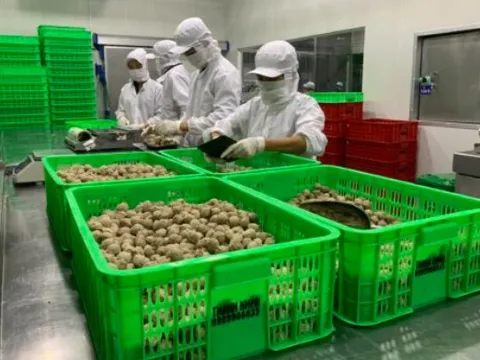 Thịt bò sạch từ lò mổ công nghiệp đang hút người dân