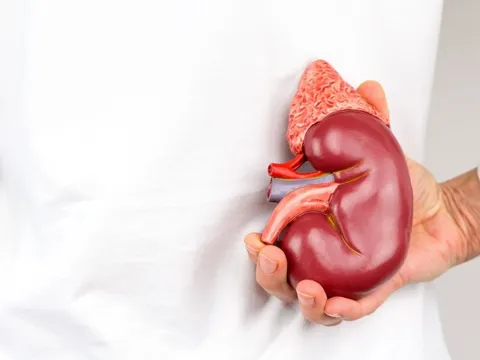 Thận khỏe hay yếu cứ nhìn 4 điểm bất thường này trên cơ thể, có 1 dấu hiệu cũng cần đi khám ngay