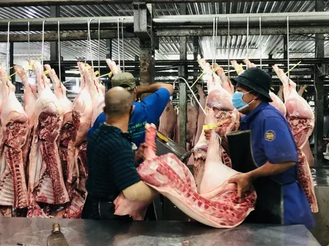 Sàn giao dịch thịt heo ở TP HCM sẽ làm những việc gì?