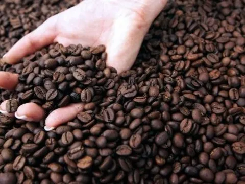 Sau gạo, thêm một loại nông sản có nguy cơ rơi vào khủng hoảng, Việt Nam sắp trúng đậm khi nắm sản lượng đứng thứ 2 thế giới