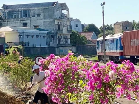 CSGT chung tay khoác “áo hoa” dọc tuyến đường sắt ở Huế