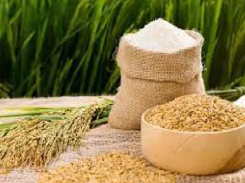 Giá gạo châu Á bắt đầu hạ nhiệt