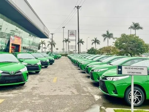 Mặc kệ trào lưu xe điện, 1 hãng taxi vẫn quyết định thay dàn 10.000 xe Toyota mới