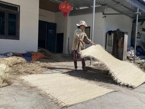 Cặp vợ chồng giữ lửa nghề dệt chiếu cói truyền thống ở xứ Nghệ