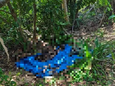 Bình Thuận: Phát hiện thi thể người trong rẫy hoang trên đảo Phú Quý