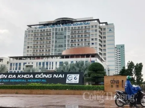 Đồng Nai: Dừng thanh tra các dự án, gói thầu liên quan AIC