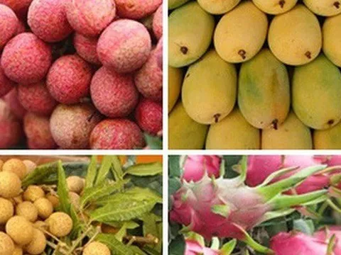 Sẽ mở sàn thương mại điện tử cho đặc sản địa phương