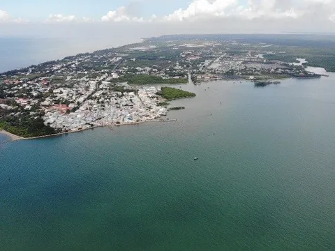 Đề cử rừng phòng hộ Cần Giờ thành khu Ramsar