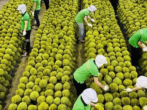 Trung Quốc tăng đột biến nhập khẩu hàng hóa Việt Nam