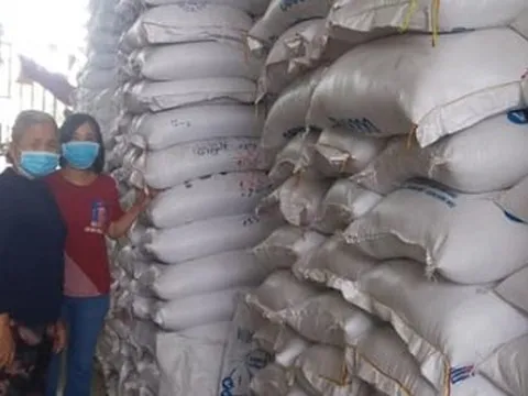 Nguyên nhân chính "ẩn" trong giá gạo tăng