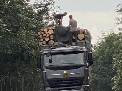 Gia Lai: Vì sao xe quá khổ, quá tải hoạt động bát nháo về đêm?