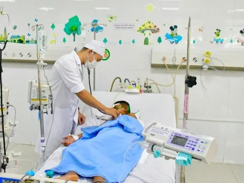 Cứu sống bé trai 8 tuổi bị ong vò vẽ đốt hơn 60 mũi