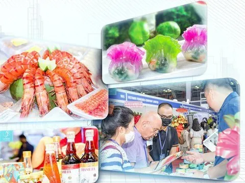 Bức tranh xuất khẩu thủy sản Việt Nam năm 2023
