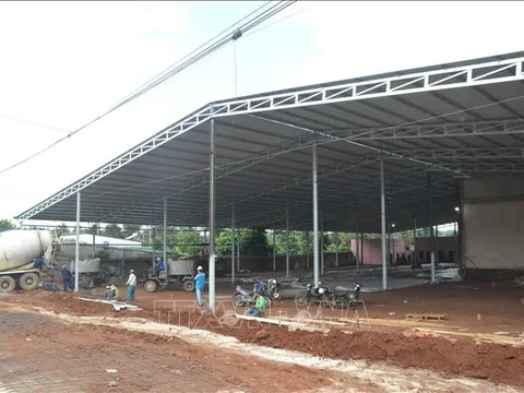 'Loạn' xây dựng kho, vựa thu mua sầu riêng tại Đắk Lắk