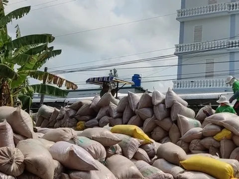 Giá gạo quay đầu tăng