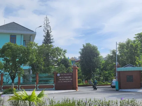 Vợ, con trai và em vợ Chủ tịch Công ty Sông Chu bất ngờ xin thôi chức vụ