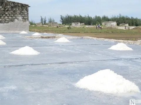 Diêm dân xứ Nghệ vật vã mưu sinh giữa trời nắng