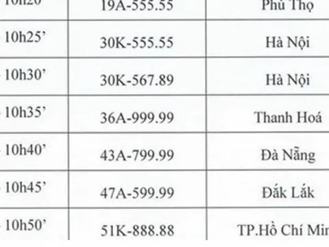 Đấu giá biển số “ngũ quý” Bắc Ninh 99A-666.66 vào ngày 22/8