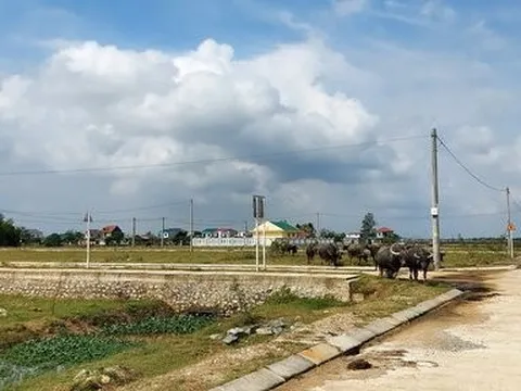 Dự án tái định cư khẩn cấp hơn 10 năm vẫn chưa đưa vào sử dụng