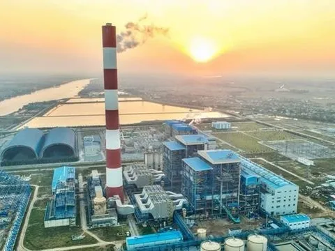 Chất thải rắn của nhà máy Nhiệt điện Thái Bình 2 đấu giá được hơn 190 tỷ đồng, cao gấp đôi giá khởi điểm
