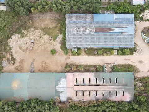 Hiện vật di tích lịch sử "nằm trong kho doanh nghiệp" suốt 10 năm