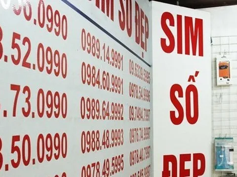 Số điện thoại đẹp sẽ được đấu giá