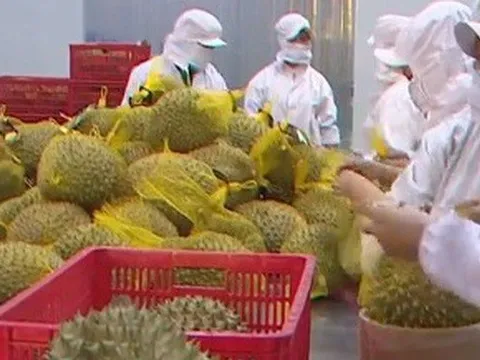 Ngành nông nghiệp thu về hơn 33 tỷ USD